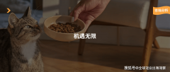 <b>他们会更买”</b>