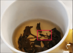 起首是优化加盟政